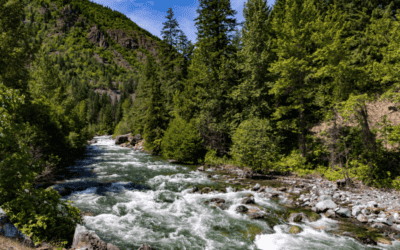Thrilling adventure awaits on the Middle Fork of the Payette River