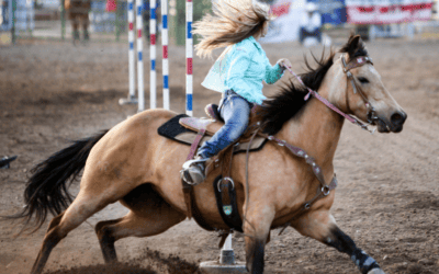 Giddy up for the Garden Valley Stampede Rodeo!