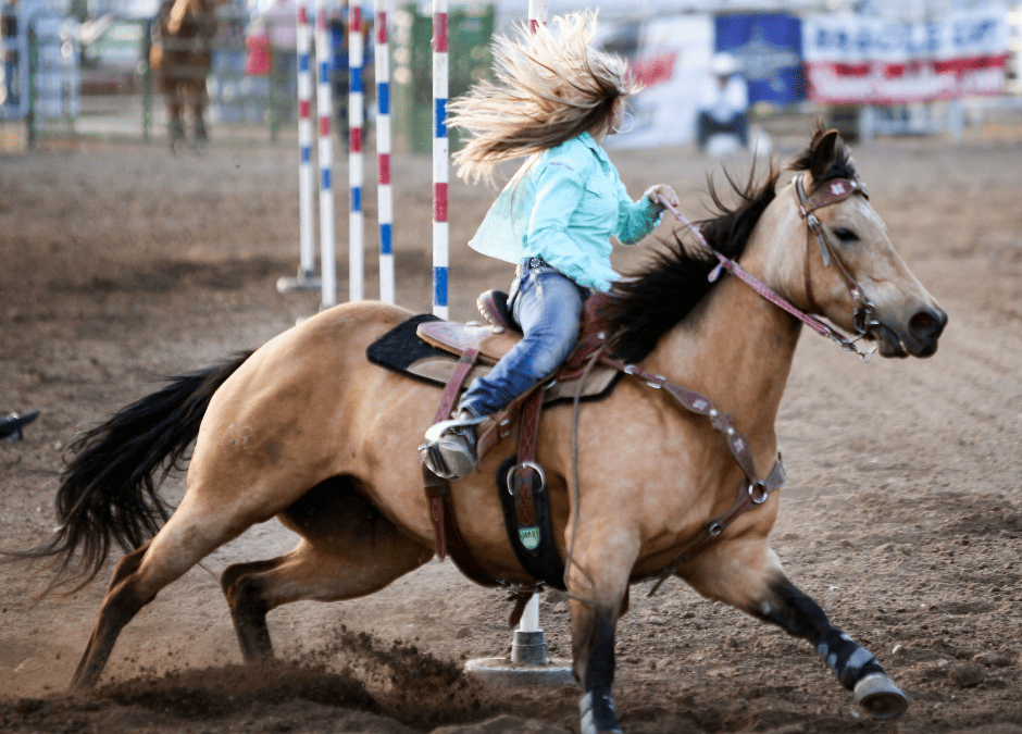 Giddy up for the Garden Valley Stampede Rodeo!